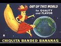 Best of Cats Skateboarding (with advertisements)