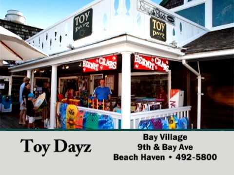 Toy Dayz