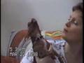 comedy14 afv comedy comedy14 afv comedy