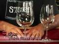 Wine Tasting Tip - Red Wine Glass or White Wine Glass