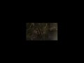 Legend of Dragoon - Butterflies and Hurricanes