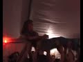Scorefor - Lose it all (live bei meinem 18ten Geburtstag)