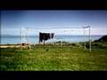 Sigur Ross   -   Heima
