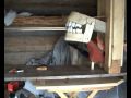 Fried sparrow in a boat shed