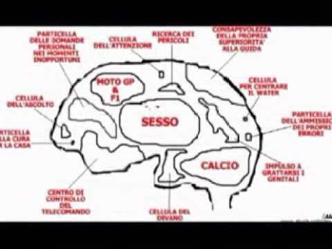 Immagine anteprima YouTube