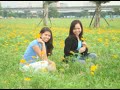 Taiwan Pictures 3 Taiwan Pictures 3