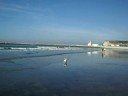 cachou et la mer