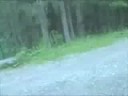time lapse