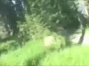 time lapse