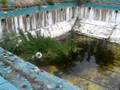 Grossinger's Outdoor Olympic Pool [4/4]