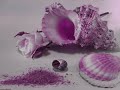 POMBA GIRA DA PRAIA