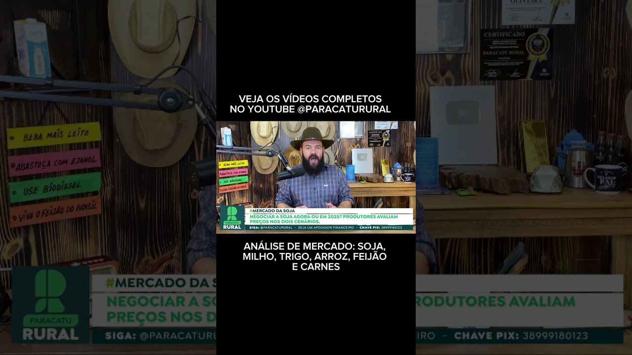 27 de novembro de 2024