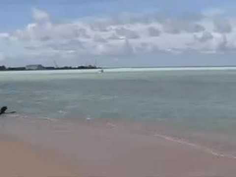 The Giants of Kiribati