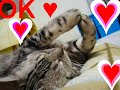 Thumbnail #3