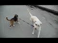 they are the friends??!