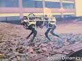 Robotic Mule