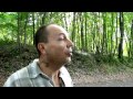 Les cèpes euréliens, une bonne année pour la cueillette aux champignons dans nos forêts.
