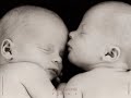 Zolis petits Bébés
