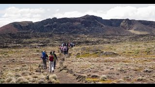 PALI AIKE un lugar mágico en Magallanes