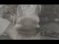 videos de sukun- the way to peace