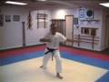 The Movements - RYUFU at Martial Speed
