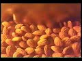 Comercial Golden Nuss