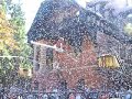 Till Eulenspiegel auf dem Seil