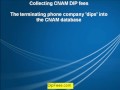 SIP VoiP Users - Claim CNAM DIP Fees for US Termination