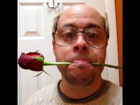 The Bachelor
