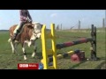Ver Video