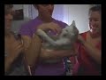 Sleeping with the  Pets - BLOOPER RAW FOOTAGE!
