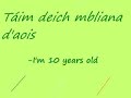 Learn Irish lesson 2 beginners