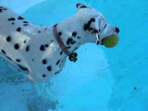 Imagen de previsualización de YouTube