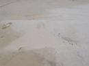 Rainbow Beach Jump Gone Wrong