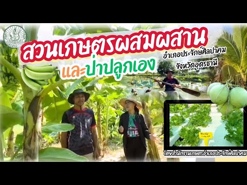เกษตรผสมผสาน และป่าปลูกเอง