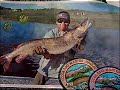Colorado Master Angler Award Colorado Master Angler Award