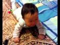 videos de 笑哈哈