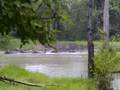 videos de Indian Wildlife