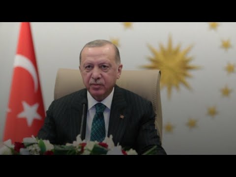 TVİVO TV