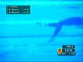 Thiago Pereira, Nata��o do Brasil no Pan 2007.