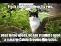 KatShortz! 16 - Very Funny Cats & Kittens!