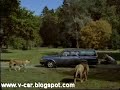 Lion On The Car Roof Lion On The Car Roof