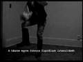 Pontozo - Instructional video (Hungarian)