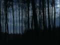 Dog soldiers - sonne