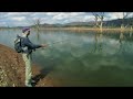 GOLDEN PERCH TACTICS - LAKE EILDON