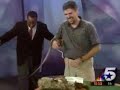 lizard jumps on newscaster lizard jumps on newscaster