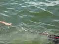 Eva and I swimming
