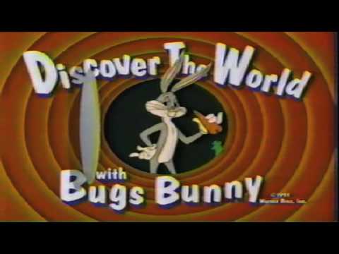 how to discover bugs