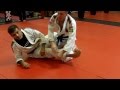 Jiu Jitsu Techniques - 3 Options for Arm Triangle / Darce Choke