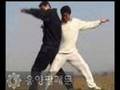 YinYang BaGuaZhang (田氏 阴阳八卦掌)